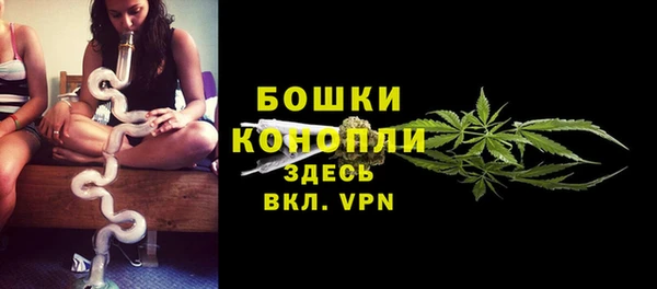 шишки Балахна
