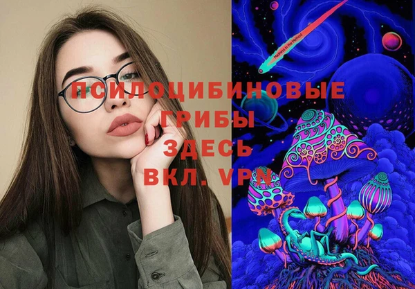 шишки Балахна