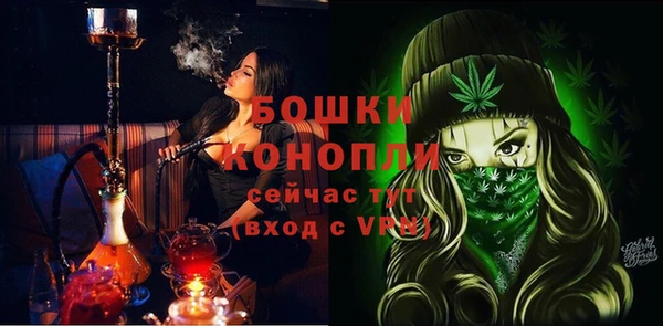 шишки Балахна
