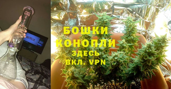 шишки Балахна