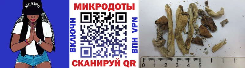 Галлюциногенные грибы прущие грибы  закладки  darknet как зайти  Буинск 